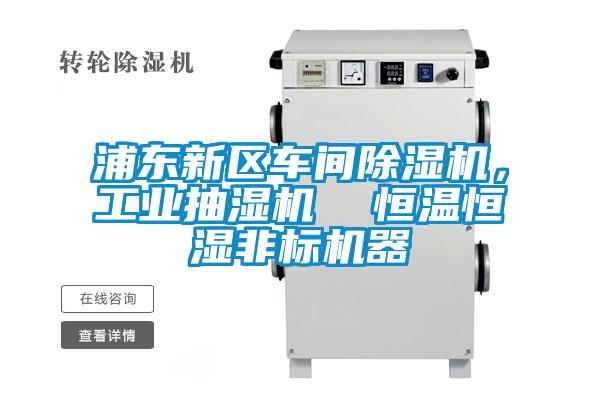 浦東新區(qū)車間除濕機(jī)，工業(yè)抽濕機(jī)  恒溫恒濕非標(biāo)機(jī)器