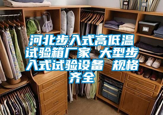 河北步入式高低溫試驗箱廠家 大型步入式試驗設備 規格齊全