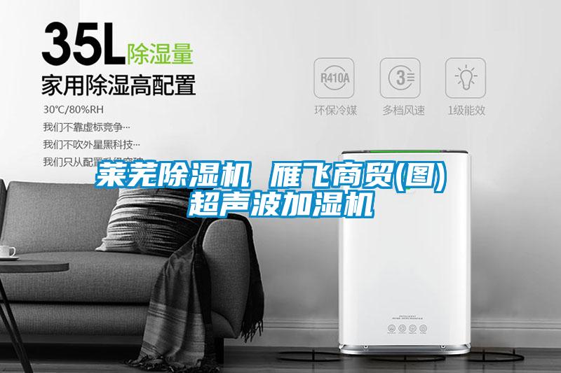 萊蕪除濕機 雁飛商貿(圖) 超聲波加濕機