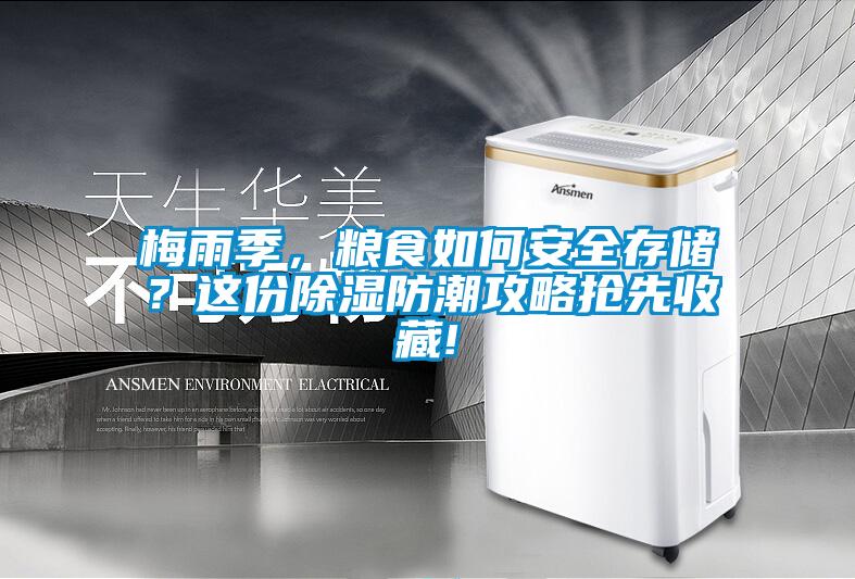 梅雨季，糧食如何安全存儲？這份除濕防潮攻略搶先收藏!