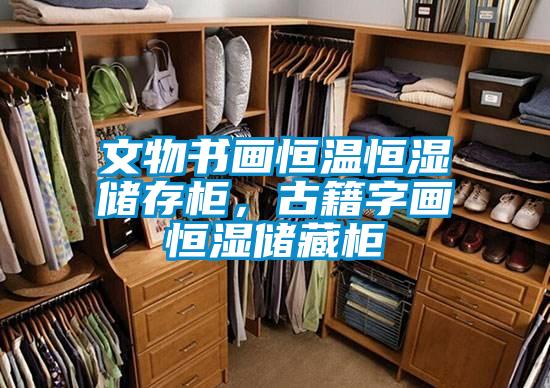 文物書畫恒溫恒濕儲存柜，古籍字畫恒濕儲藏柜