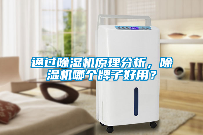 通過除濕機原理分析，除濕機哪個牌子好用？