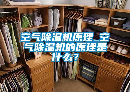 空氣除濕機原理_空氣除濕機的原理是什么？