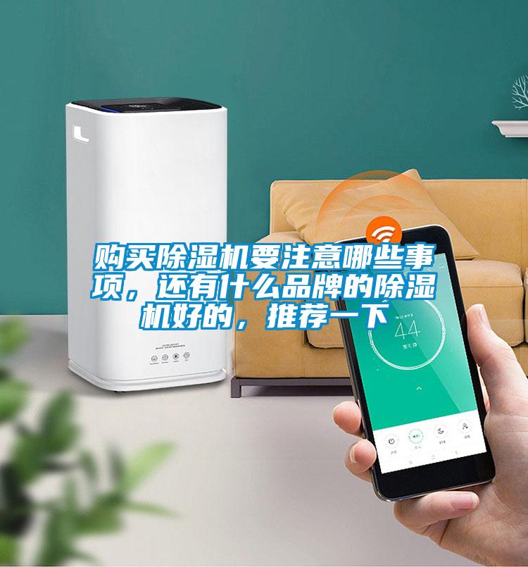 購(gòu)買除濕機(jī)要注意哪些事項(xiàng)，還有什么品牌的除濕機(jī)好的，推薦一下