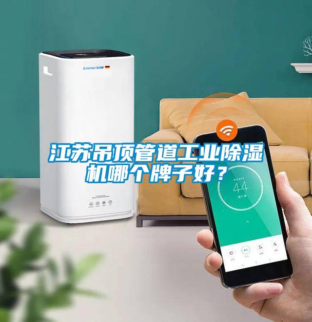 江蘇吊頂管道工業(yè)除濕機哪個牌子好？