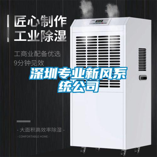 深圳專業新風系統公司