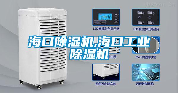 ?？诔凉駲C(jī),海口工業(yè)除濕機(jī)