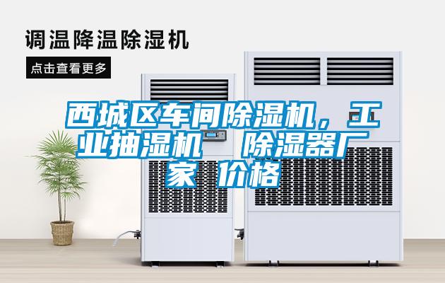 西城區(qū)車(chē)間除濕機(jī)，工業(yè)抽濕機(jī)  除濕器廠家 價(jià)格