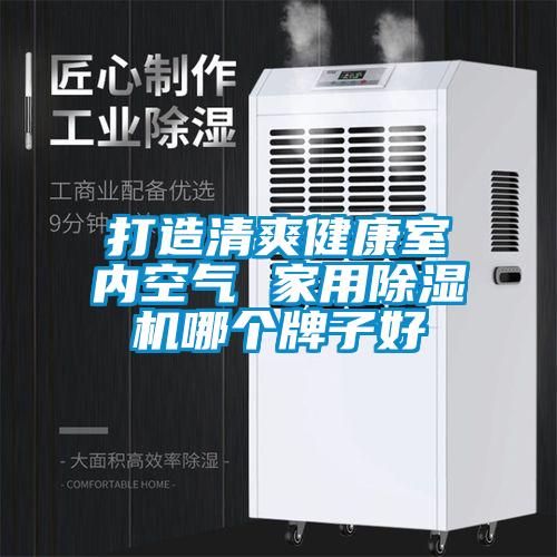 打造清爽健康室內空氣 家用除濕機哪個牌子好