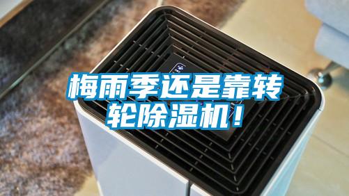 梅雨季還是靠轉輪除濕機！