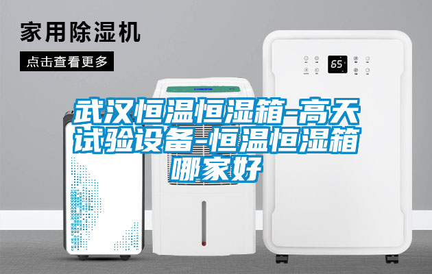 武漢恒溫恒濕箱-高天試驗設(shè)備-恒溫恒濕箱哪家好