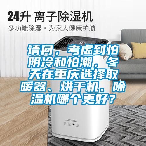 請問，考慮到怕陰冷和怕潮，冬天在重慶選擇取暖器、烘干機(jī)、除濕機(jī)哪個(gè)更好？