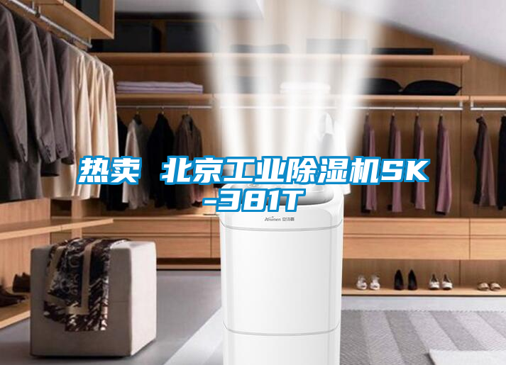 熱賣 北京工業除濕機SK-381T