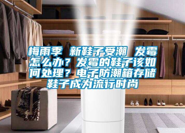梅雨季 新鞋子受潮 發霉怎么辦？發霉的鞋子該如何處理？電子防潮箱存儲鞋子成為流行時尚