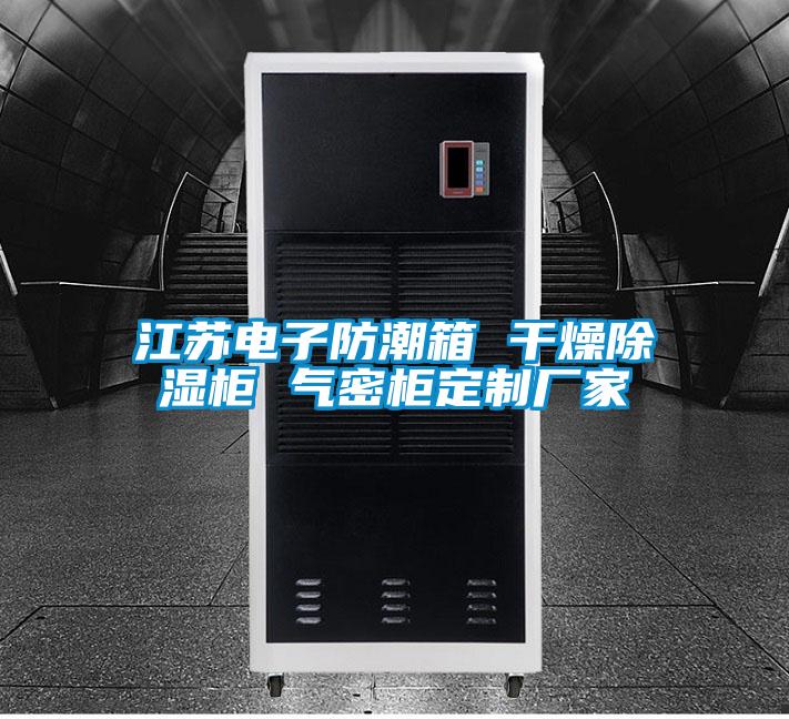 江蘇電子防潮箱 干燥除濕柜 氣密柜定制廠(chǎng)家
