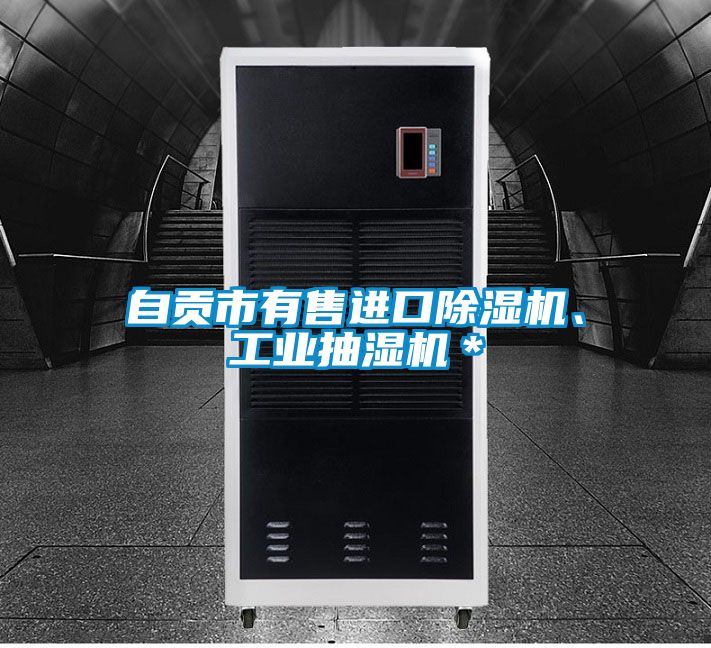 自貢市有售進口除濕機、工業抽濕機＊