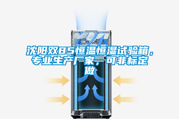 沈陽雙85恒溫恒濕試驗箱，專業生產廠家，可非標定做