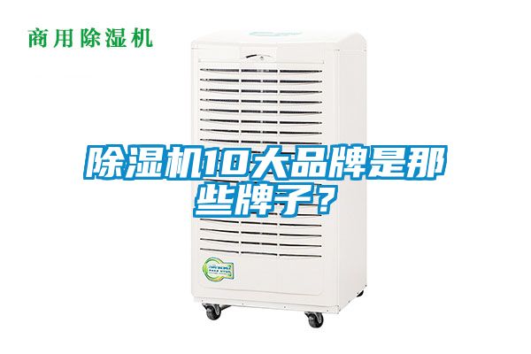 除濕機10大品牌是那些牌子？