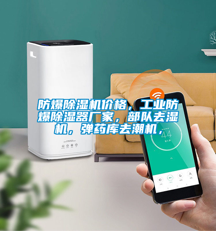 防爆除濕機價格，工業防爆除濕器廠家，部隊去濕機，彈藥庫去潮機，