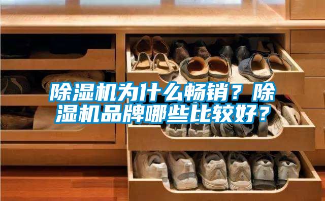 除濕機為什么暢銷？除濕機品牌哪些比較好？