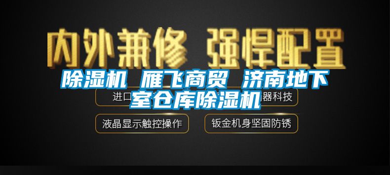 除濕機 雁飛商貿 濟南地下室倉庫除濕機
