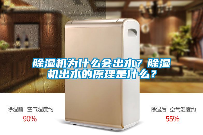 除濕機為什么會出水？除濕機出水的原理是什么？