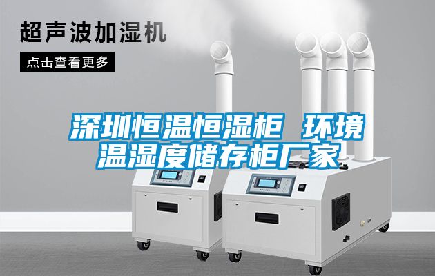 深圳恒溫恒濕柜 環境溫濕度儲存柜廠家
