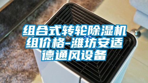 組合式轉輪除濕機組價格-濰坊安適德通風設備