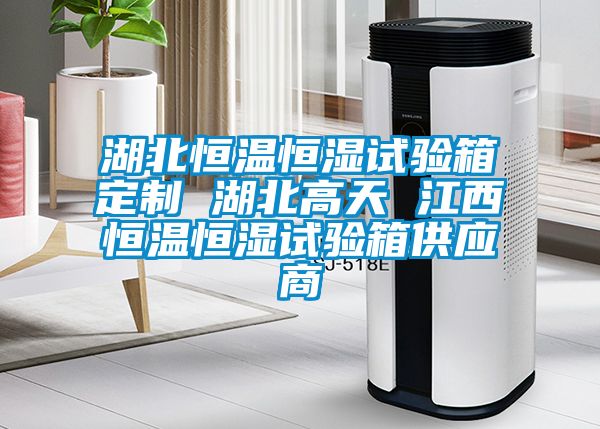 湖北恒溫恒濕試驗箱定制 湖北高天 江西恒溫恒濕試驗箱供應商