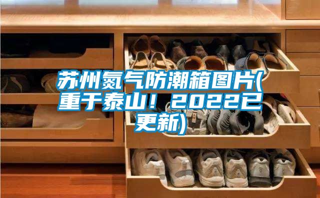 蘇州氮氣防潮箱圖片(重于泰山！2022已更新)