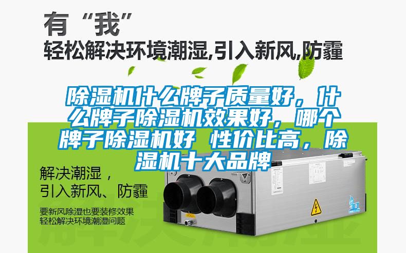 除濕機什么牌子質(zhì)量好，什么牌子除濕機效果好，哪個牌子除濕機好 性價比高，除濕機十大品牌