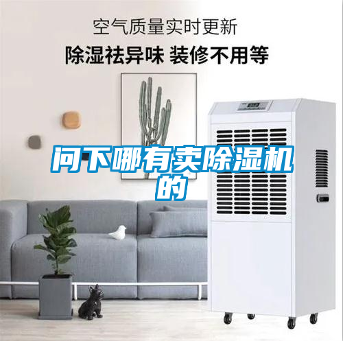 問下哪有賣除濕機的