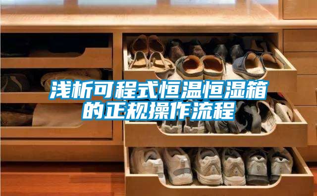 淺析可程式恒溫恒濕箱的正規操作流程