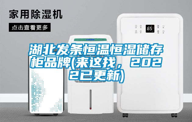 湖北發條恒溫恒濕儲存柜品牌(來這找，2022已更新)