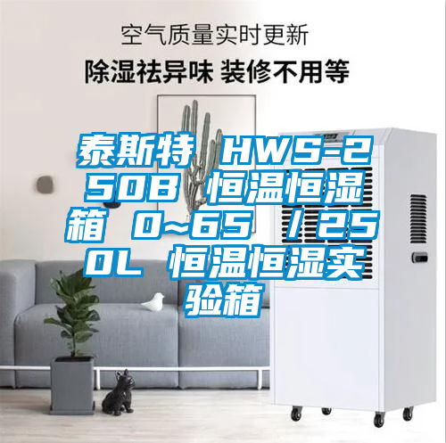 泰斯特 HWS-250B 恒溫恒濕箱 0~65℃／250L 恒溫恒濕實(shí)驗(yàn)箱
