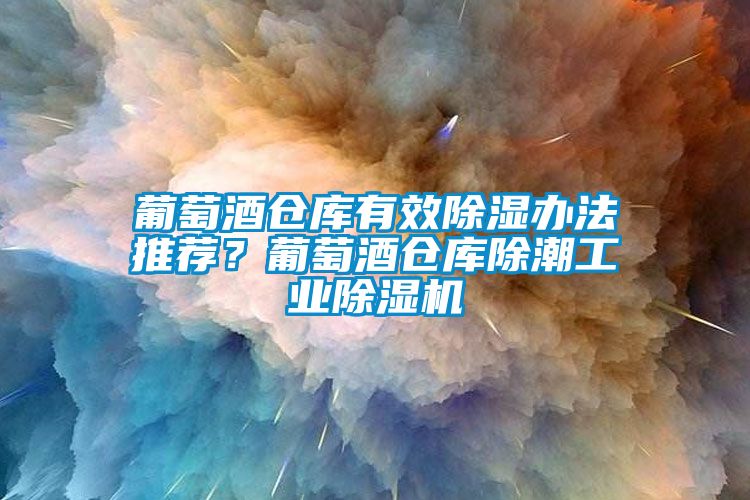 葡萄酒倉庫有效除濕辦法推薦？葡萄酒倉庫除潮工業除濕機