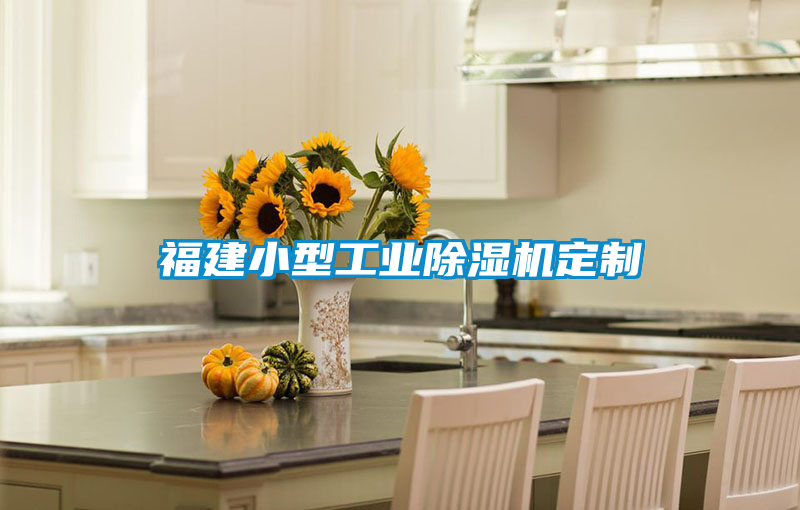 福建小型工業除濕機定制