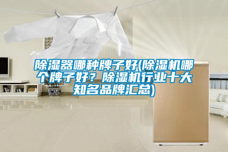除濕器哪種牌子好(除濕機哪個牌子好？除濕機行業十大知名品牌匯總)