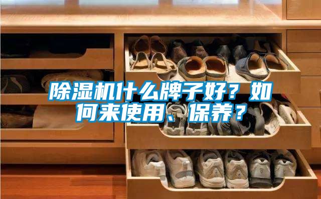 除濕機什么牌子好？如何來使用、保養？