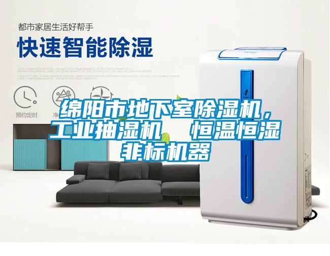 綿陽市地下室除濕機，工業抽濕機  恒溫恒濕非標機器