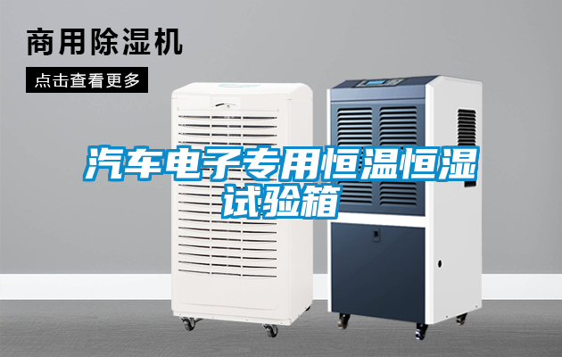 汽車電子專用恒溫恒濕試驗箱