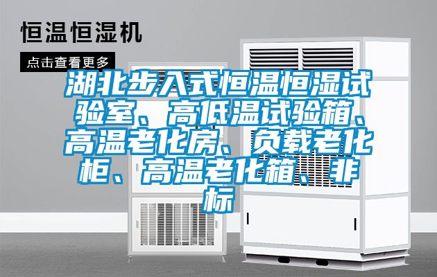 湖北步入式恒溫恒濕試驗室、高低溫試驗箱、高溫老化房、負載老化柜、高溫老化箱、非標