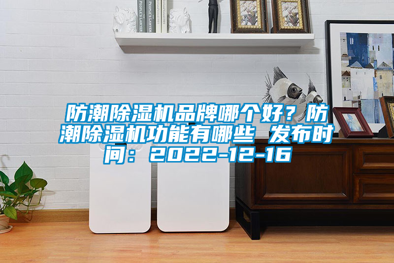 防潮除濕機品牌哪個好？防潮除濕機功能有哪些 發布時間：2022-12-16