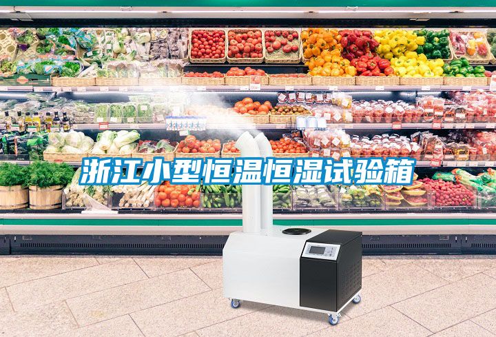 浙江小型恒溫恒濕試驗箱