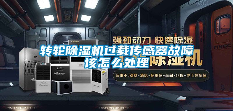 轉(zhuǎn)輪除濕機過載傳感器故障該怎么處理