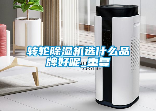 轉輪除濕機選什么品牌好呢_重復