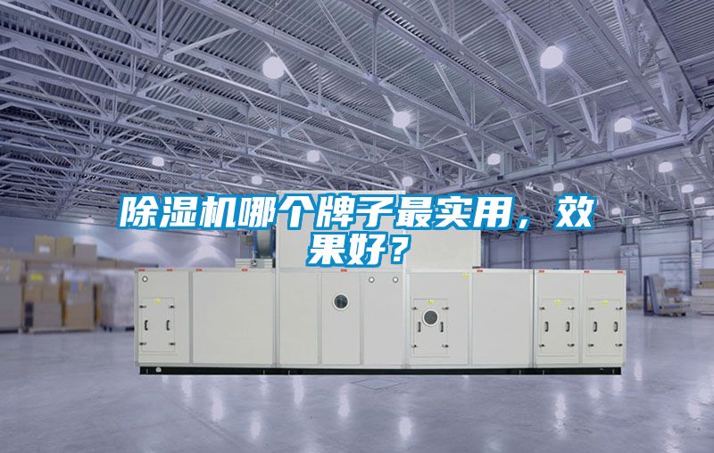 除濕機哪個牌子最實用，效果好？