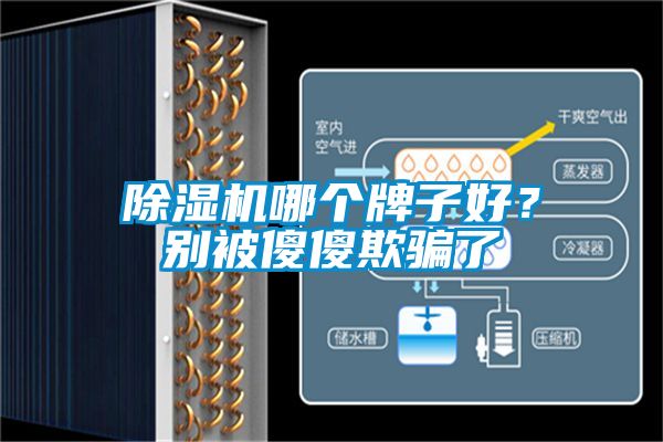 除濕機哪個牌子好？別被傻傻欺騙了