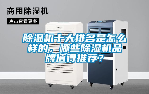 除濕機十大排名是怎么樣的，哪些除濕機品牌值得推薦？