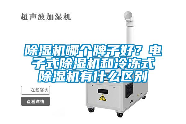 除濕機哪個牌子好？電子式除濕機和冷凍式除濕機有什么區別